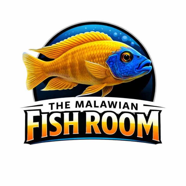 The Malawian Fish Room